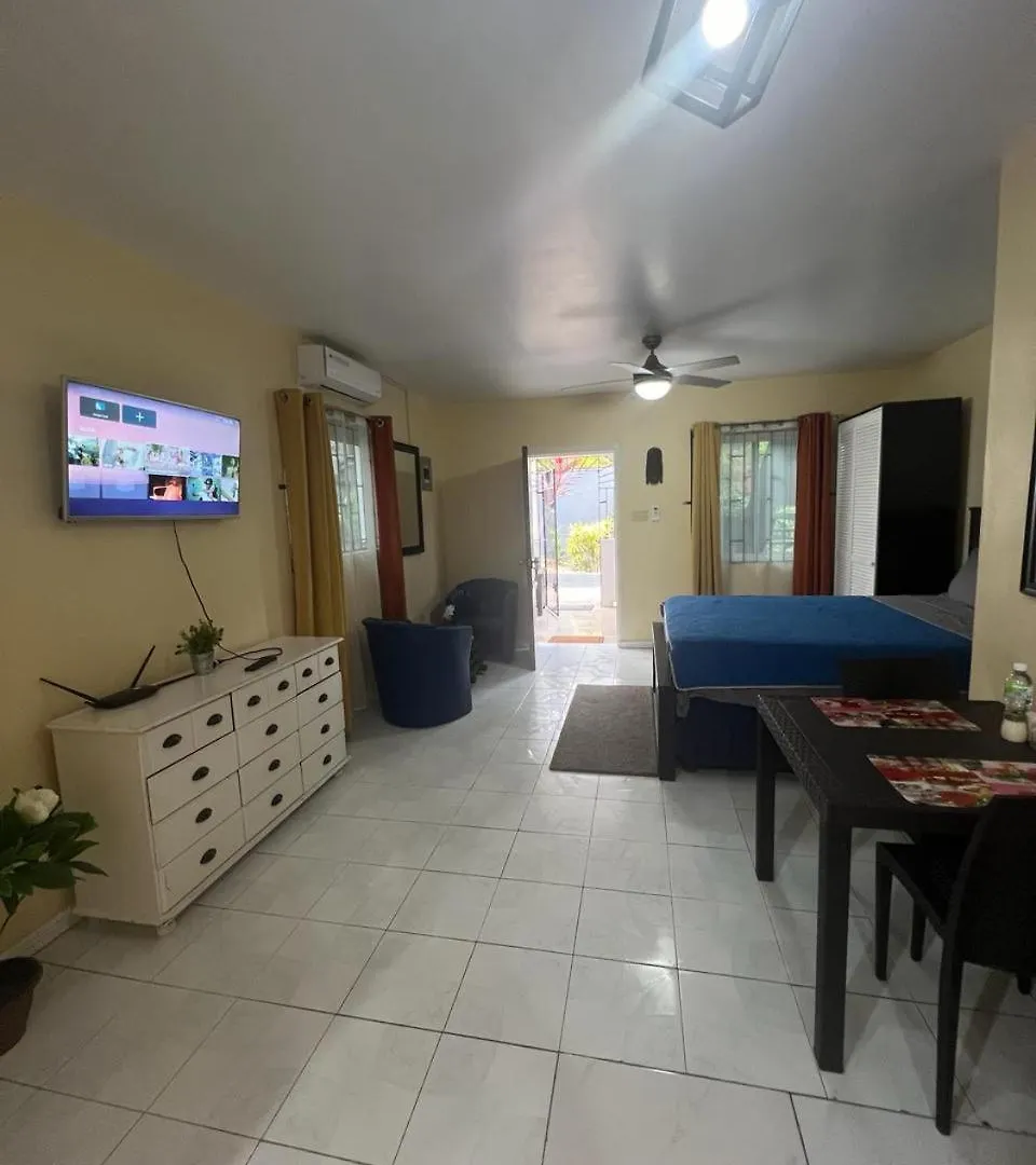 Paradies Apartments 1 مونتيغو باي